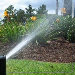 Expert Sprinkler Repair Services in Vero Beach, FL